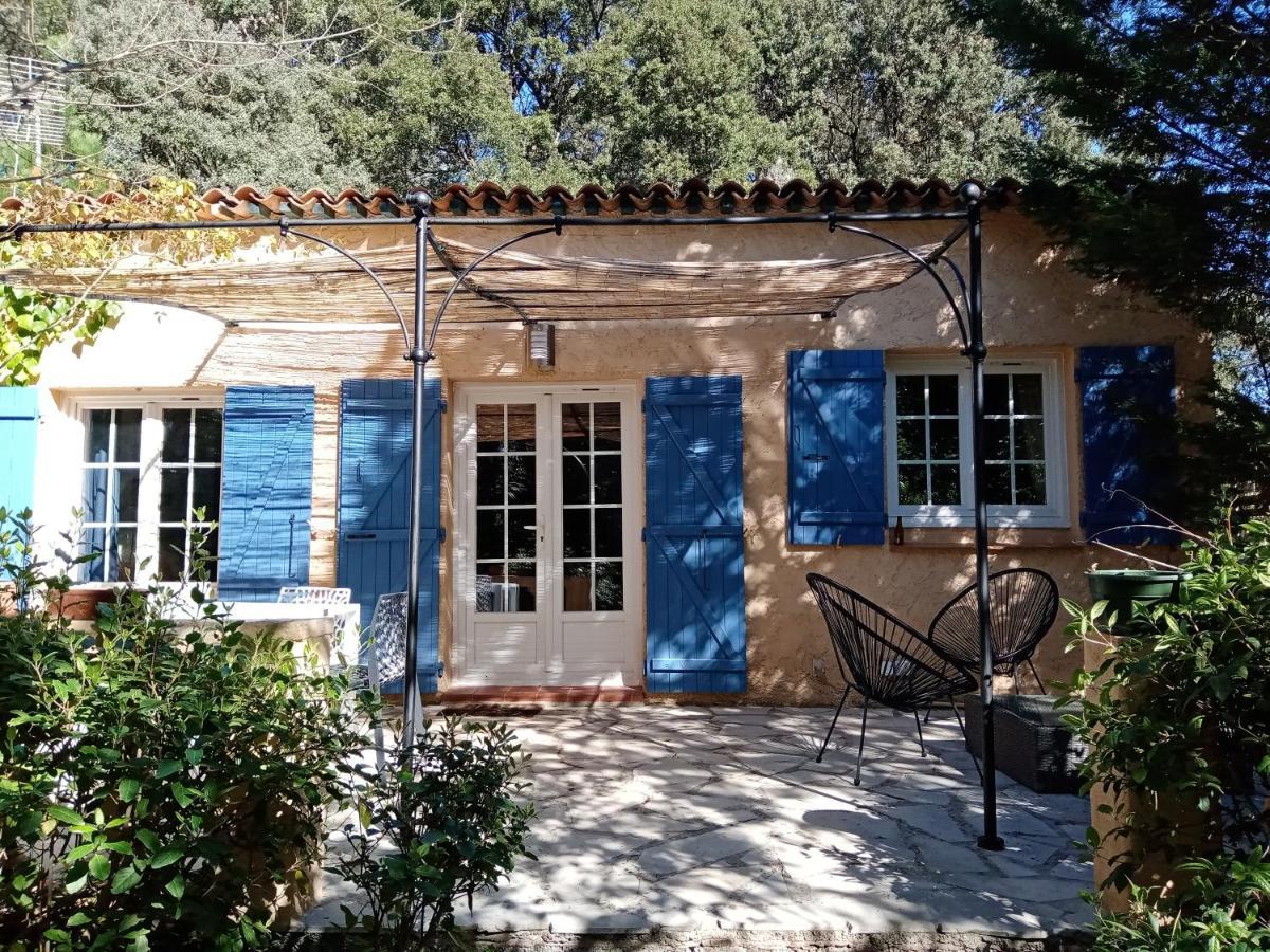 Hotel Au Mas Saint Pierre Pignans Zewnętrze zdjęcie