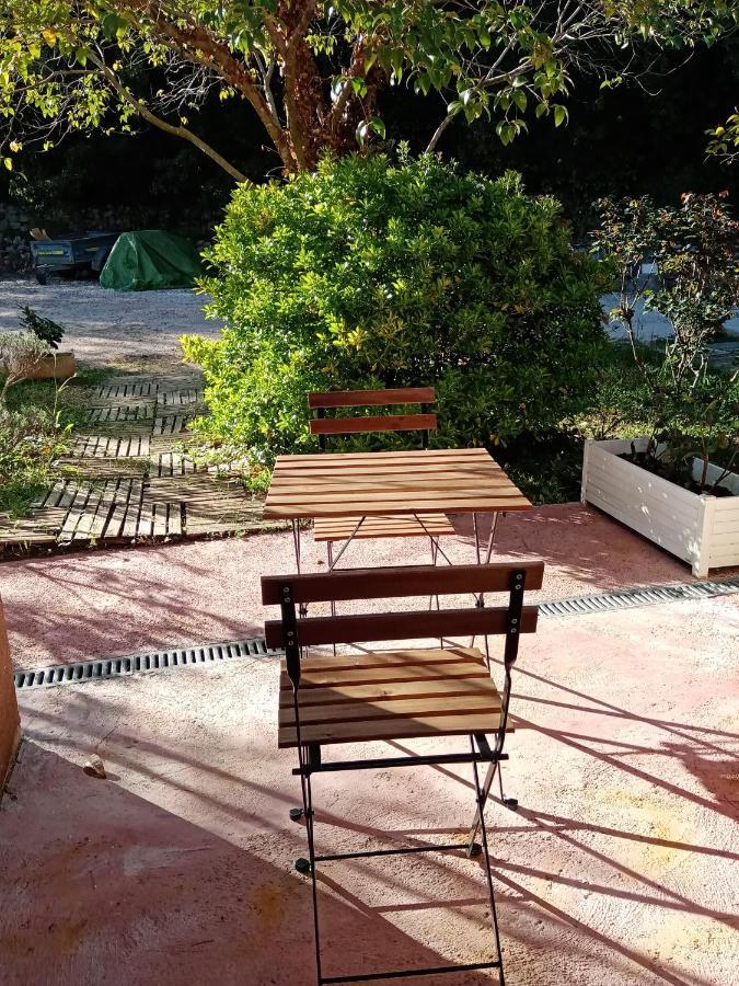 Hotel Au Mas Saint Pierre Pignans Zewnętrze zdjęcie